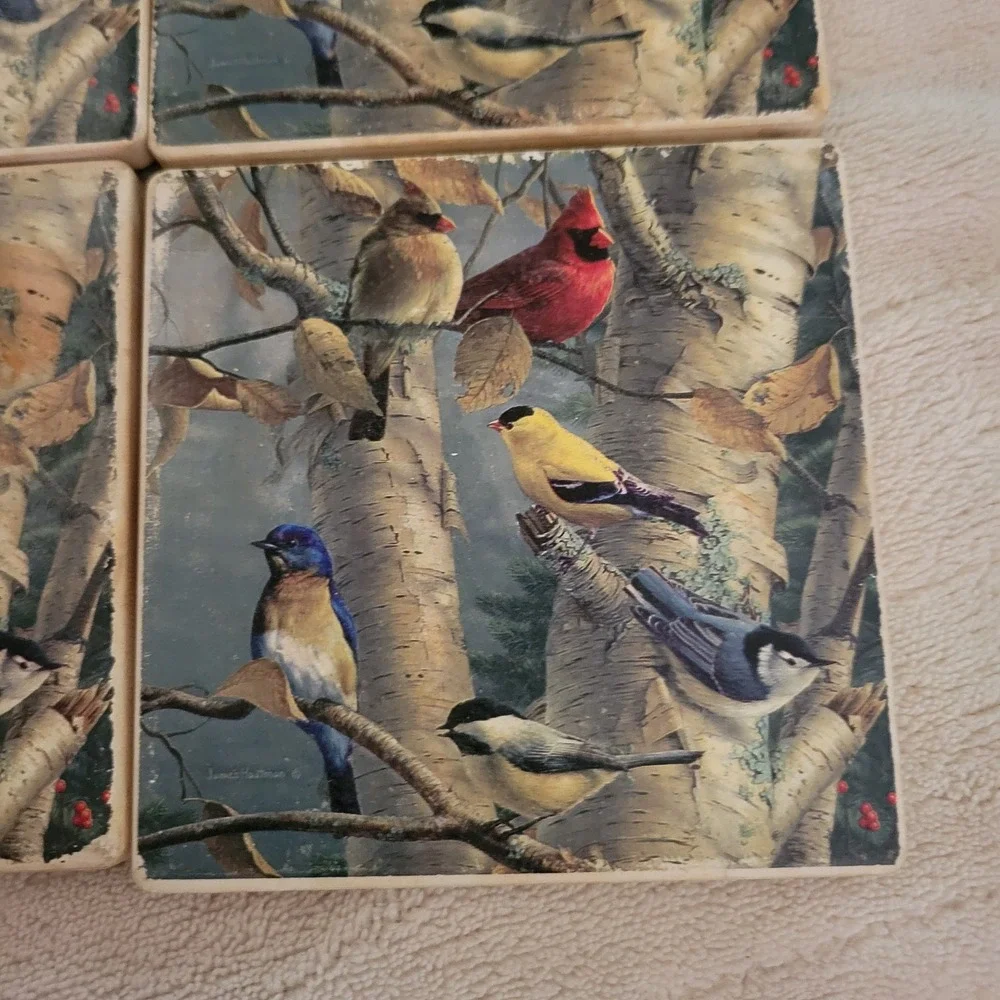 Bird Coasters Set of 4 Cork Back Cardinal Finch Birch Trees‎ Wood Holder 4x4